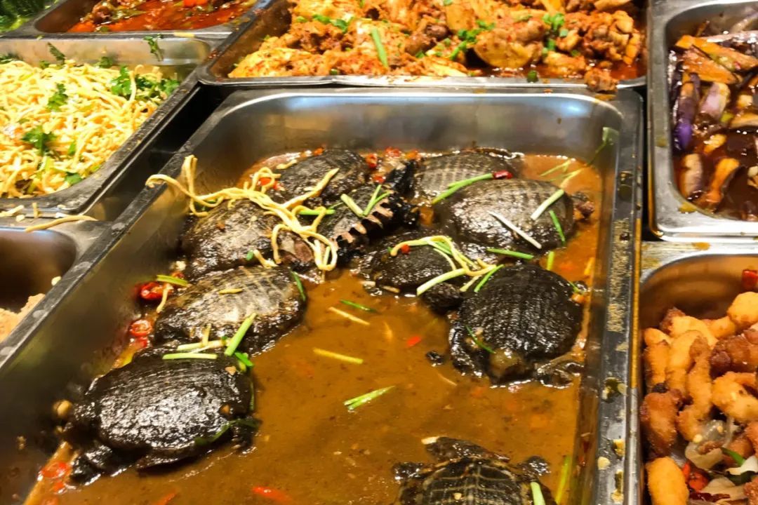 全国高校美食地图 高校食堂哪家强_江西黑暗料理网红,_高考志愿填报 大学食堂推荐