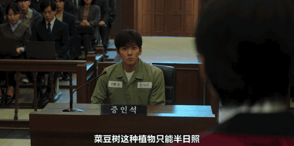 韩国10000部大片免费看_韩剧爽剧新花样_操控游戏剧情解析